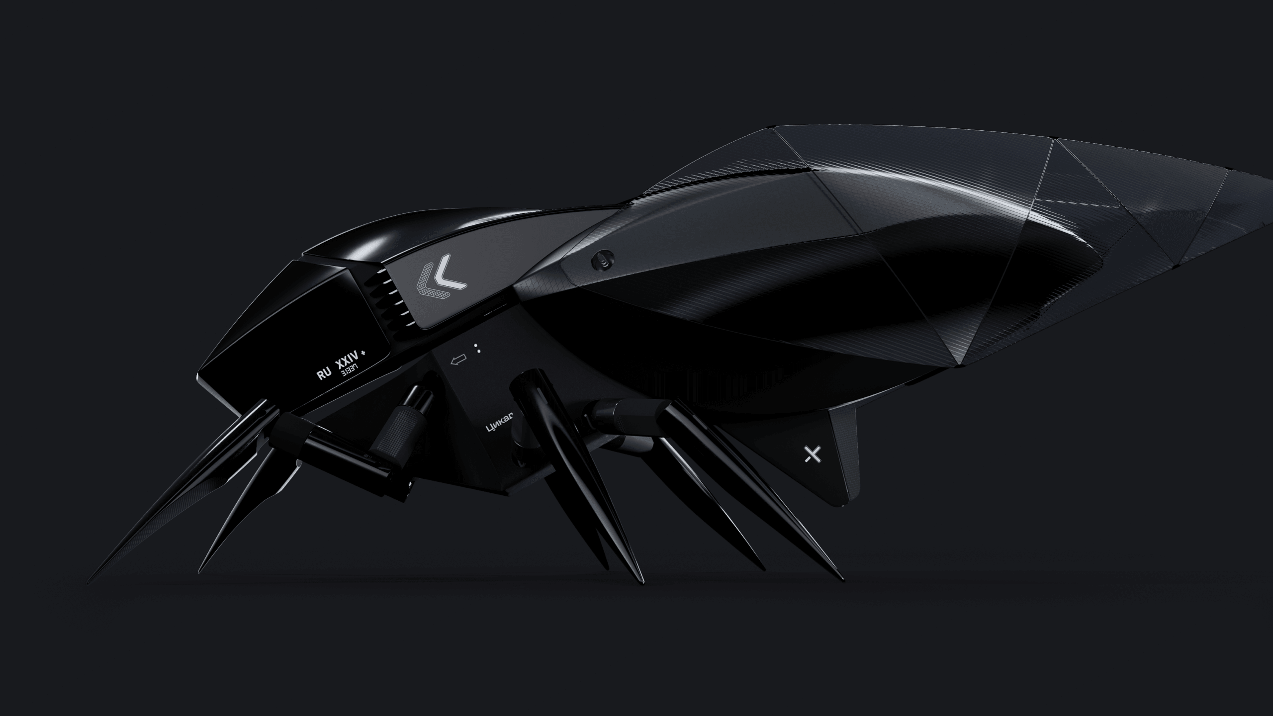 Брендинг и сайт Цикады